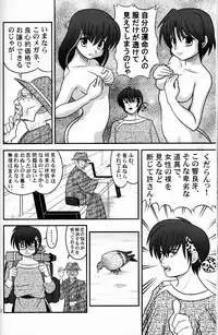 (C76) [LETTA, Romantic Shinjuu (Various)] Hyakka Ran Ran (Ranma 1/2)