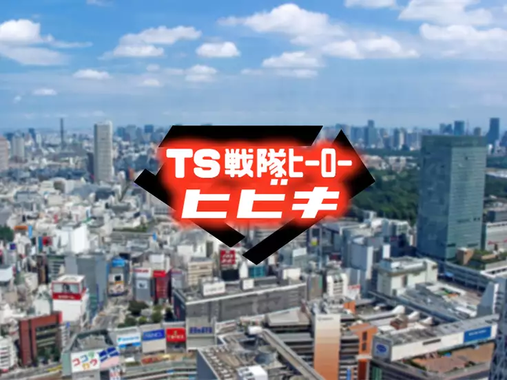 TS Sentai Hero Hibiki