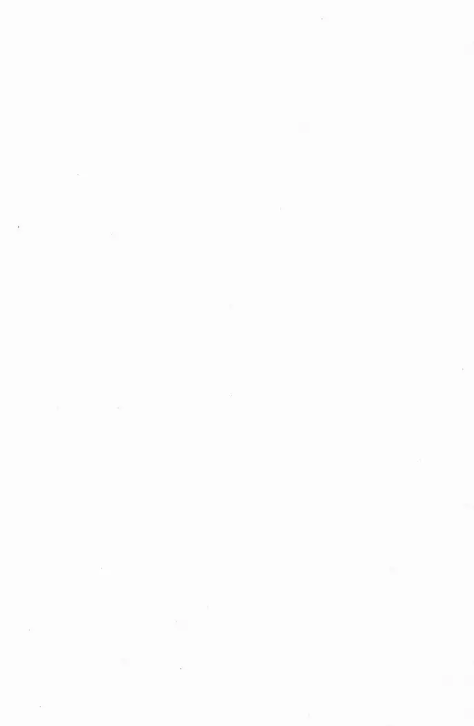 メイド喫茶 猫の隠れ家