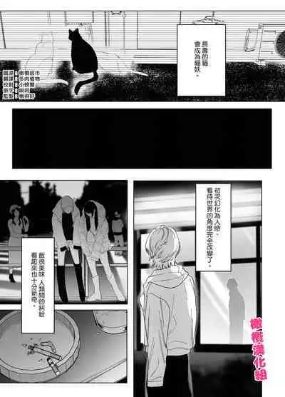 bake neko to mibōjin｜猫与未亡人