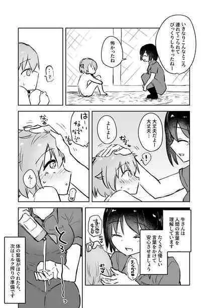 [Hibachi Seisakusho] Ushi-gata Juujin Sakunyuu Manual