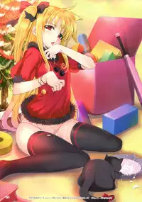 (C82) [TRI-MOON! (Mikazuki Akira!)] Strega (Mahou Shoujo Lyrical Nanoha)