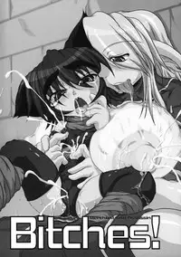 (C75) [STRATOS (Akan Tare)] Bitches! (Ragnarok Online)