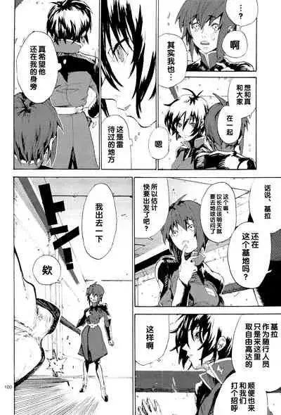 [NEO-de (Natsuzaka)] Tadashii Hito (Gundam Seed Destiny) [Chinese]