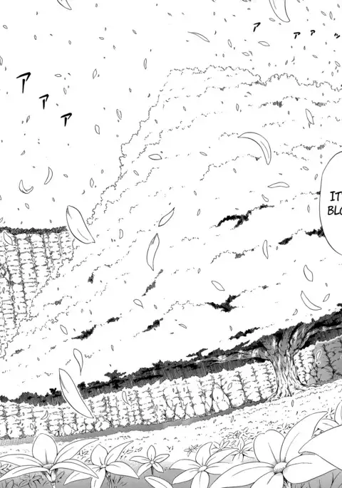 Natsumitsu x Harem! + Bonuses