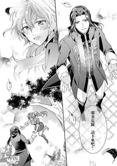 Bukiyōna daiichiōjo to dekiai kishi | 不中用的第一王女與溺愛騎士