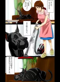 [Bonjin-do] “Wonderful Life” ~Shufu to “Aiken” no Hisoyaka na Gogo~