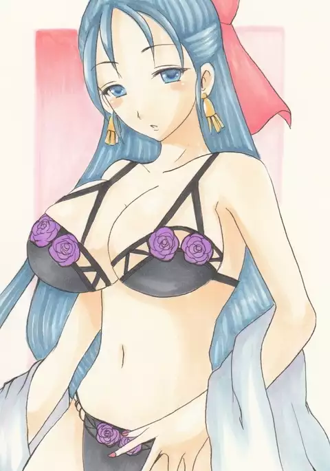 Dragon Quest V - Analog Illusts Vol.2