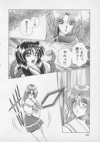 [Gun Ryuusei] Wakakusa Bishoujotai vol.4