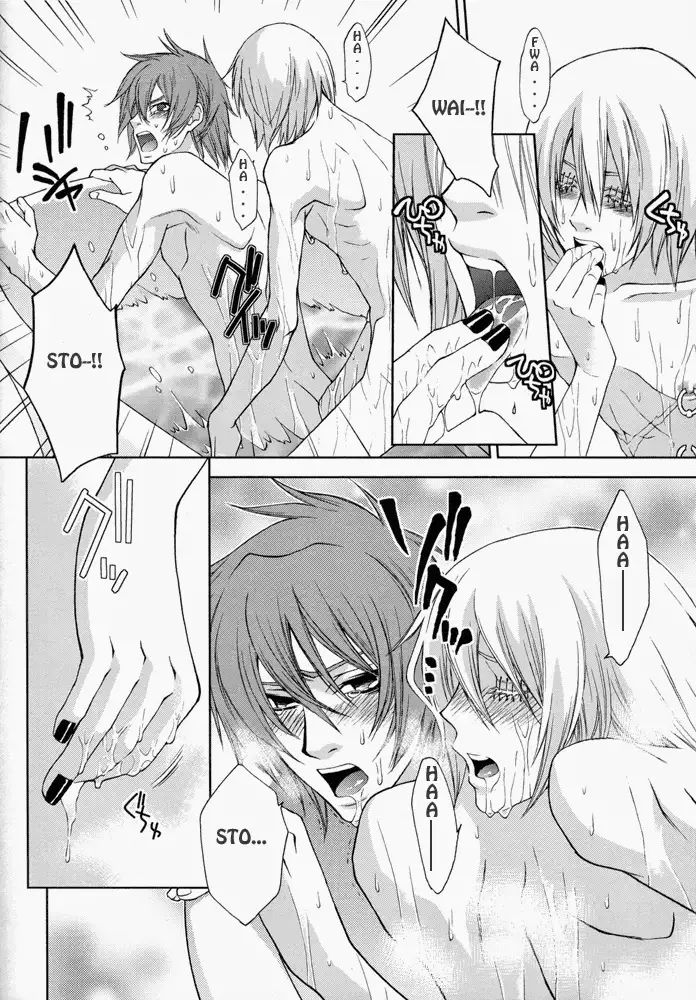 Rainy Rose/ Voiceless Voice – Togainu no Chi dj