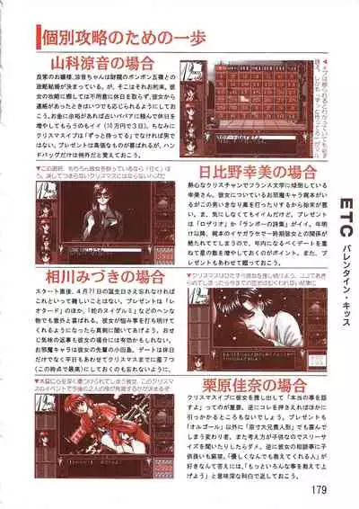 PC Bishoujo Software Strategy Book: Strategy King 2