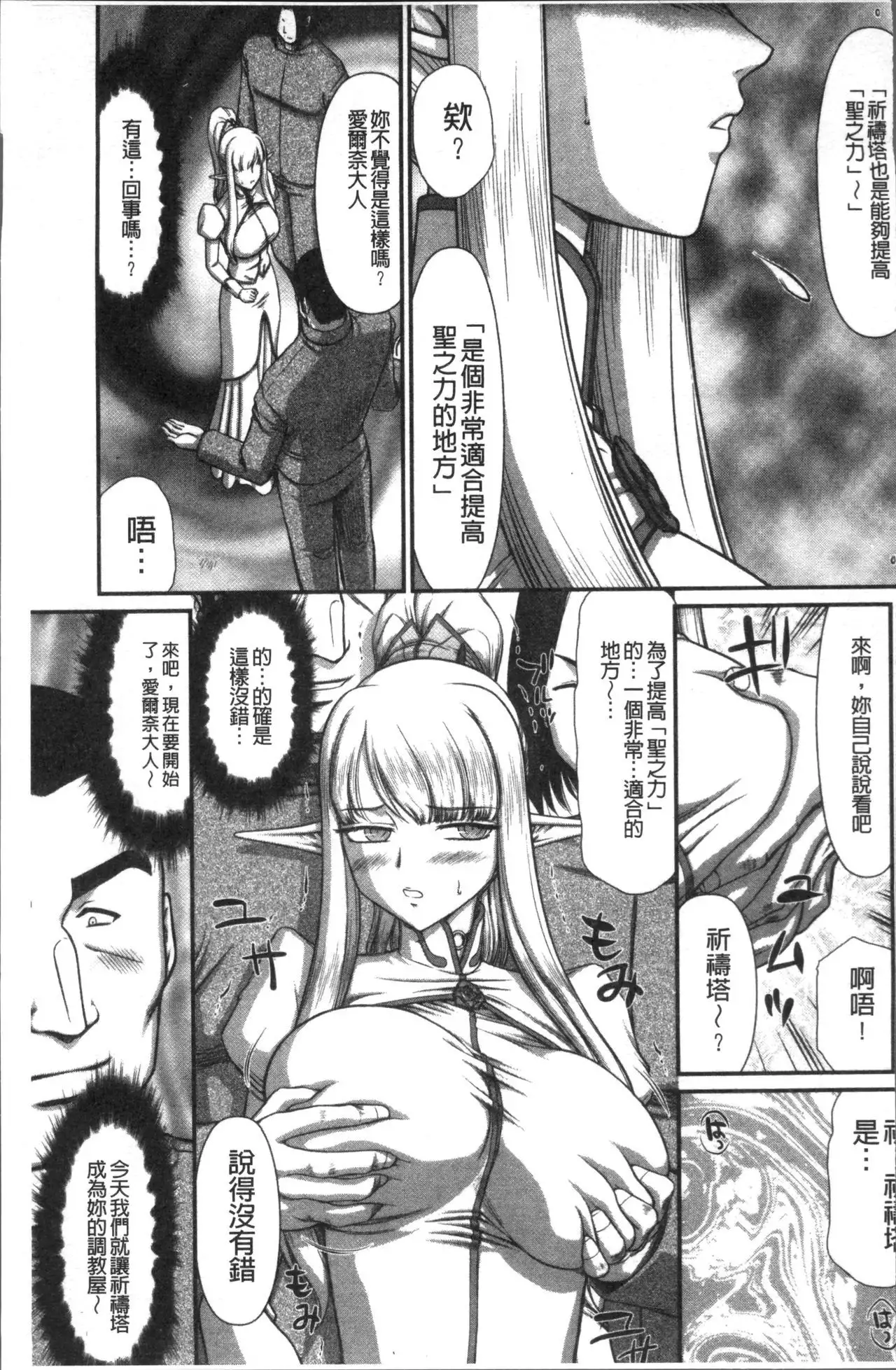 Inraku no Seijo Elvine