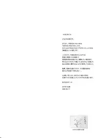 [Niku Ringo (Kakugari Kyoudai)] NIPPON PRACTICE 1 DLver. (Street Fighter)