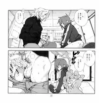 (C75) [Article 60 of Criminal Code (Shuhan)] Yojouhan Seikatsu. (Skies of Arcadia)