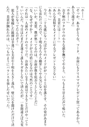 年上メイドの新婚日記