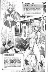 [TANA] Roshutsu Collection - Public Sex Collection | 露出淫行的精選集 [Chinese]