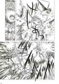 (Reitaisai 2) [FelisOvum (Katzeh)] Sankai Ryuuten (Touhou Project)