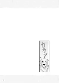 [Studio Gobousei (Usami*)] Koushoku Nyan Nyan (Tiger & Bunny) [Digital]