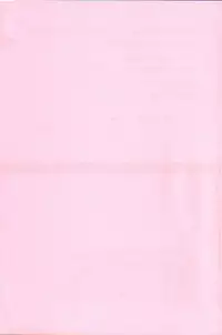 [Kiai Neko] Kowaremono