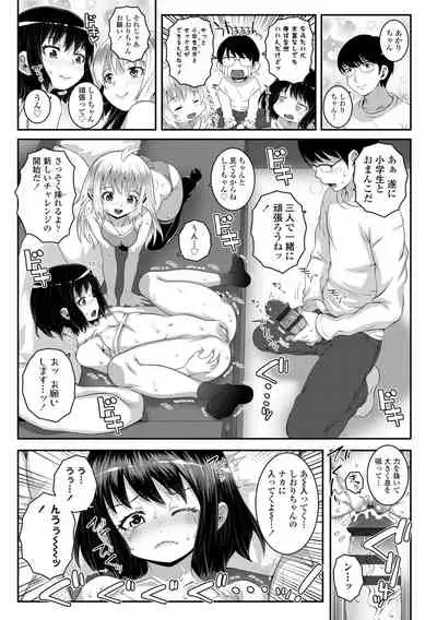 Soutaisei Virgin Theory