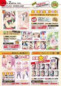 [メロンブックス]月刊めろりん2016年11月号