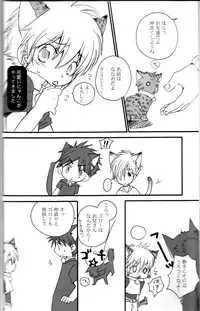 Peach Drop- Arco Iris