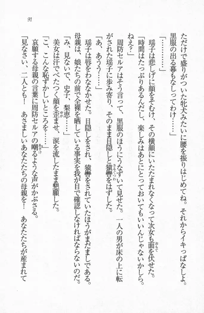 メイド喫茶 猫の隠れ家