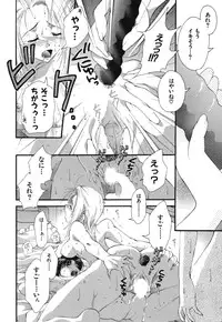 [Sensouji Kinoto] Devotee