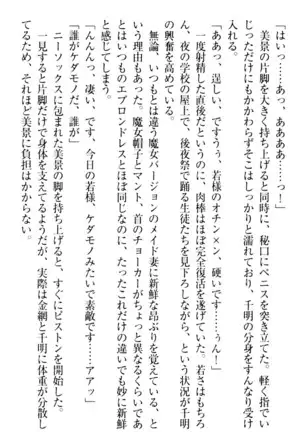 年上メイドの新婚日記