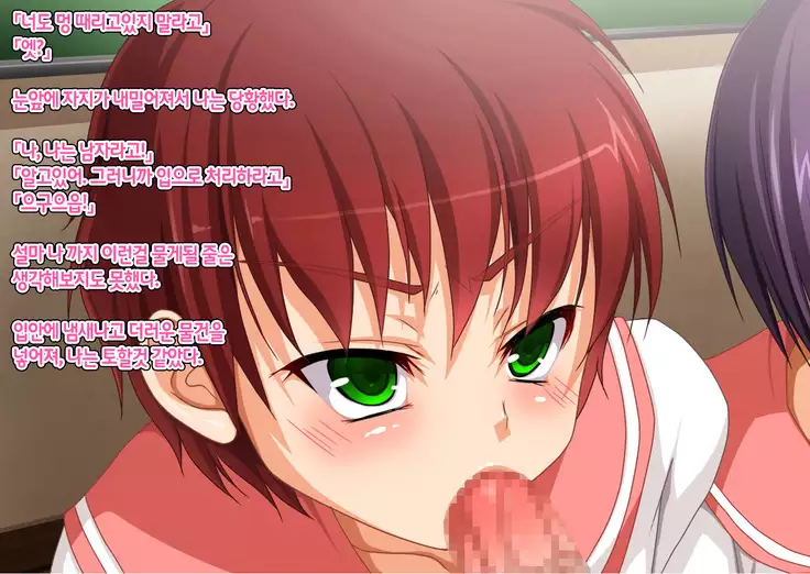 Josou Maso Rakudai Shounen Saikyouiku Nikki