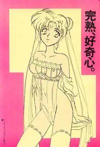 (C43) [LIVELY BOYS (various)] Princess Moon (Bishoujo Senshi Sailor Moon)