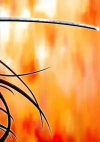 (C66) [Zangyaku Koui Teate (Nasake Muyou)] Trinitrotoluene (Shakugan no Shana)