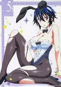 [Project Harakiri (Kaishaku)] Nisenisekoi 5.5 (Nisekoi) [Sample]