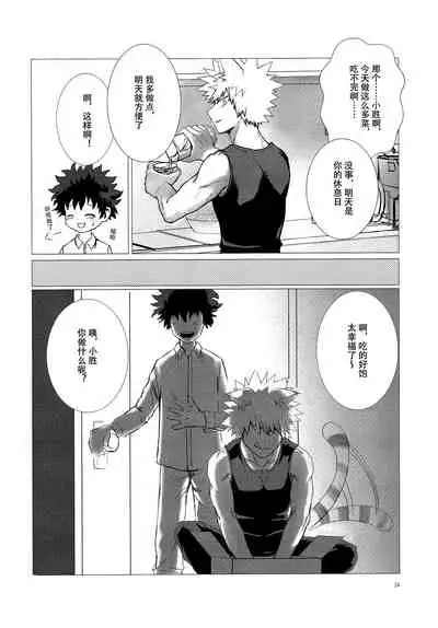 Shèngchū bào māo bǐjìběn