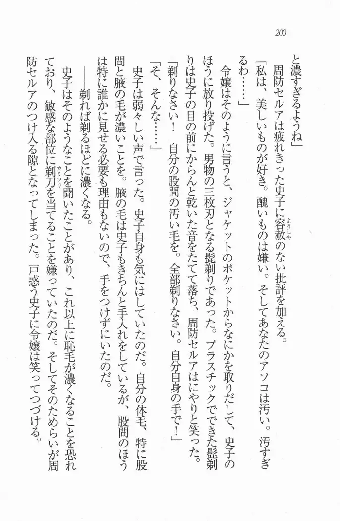 メイド喫茶 猫の隠れ家