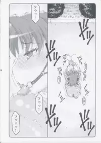 (C87) [Abarenbow Tengu (Izumi Yuujiro)] Kotori 11 (Fate/stay night)