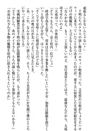 年上メイドの新婚日記
