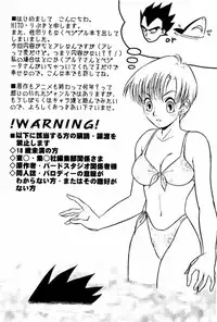 [Ryuujin-kai (HITO Ribuki)] Dangerous Beauty (DRAGON BALL Z) [English]