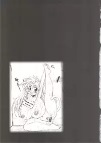 (C77) [Shimanto Seiryuu (Shimanto Youta)] Nyan Sword 2 [English]