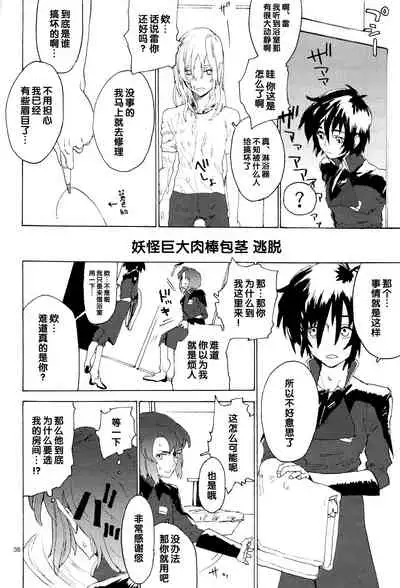 [NEO-de (Natsuzaka)] Tadashii Hito (Gundam Seed Destiny) [Chinese]