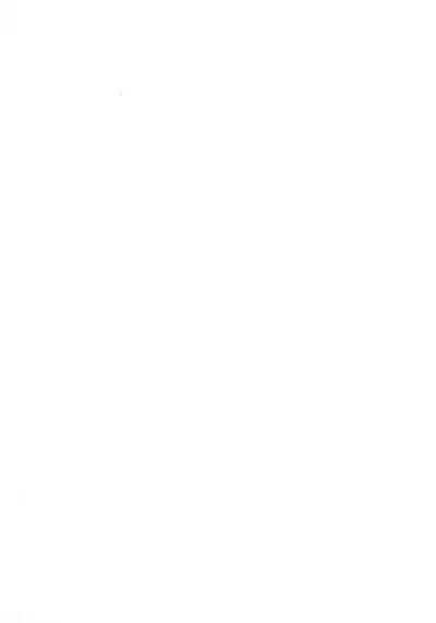 Dekoboko LOVE Sister Soushuuhen