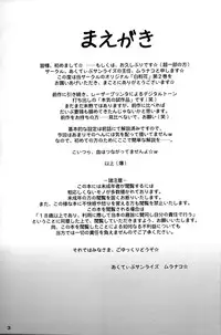 (C64) [Active Sunrise (Muranako)] Oshiroibana 2