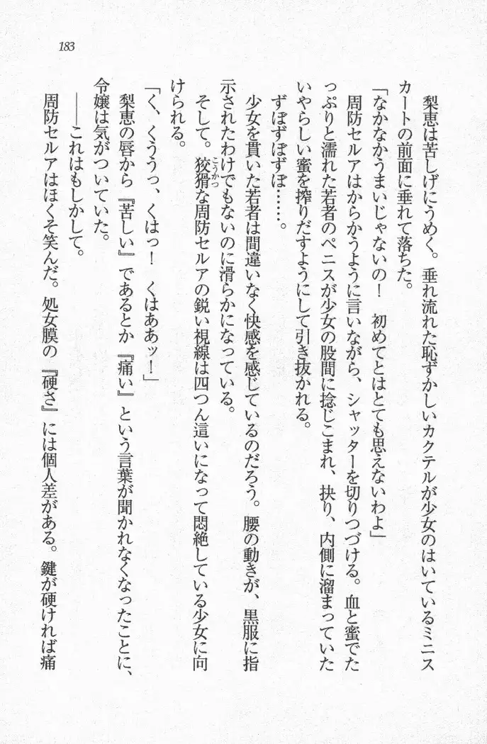 メイド喫茶 猫の隠れ家