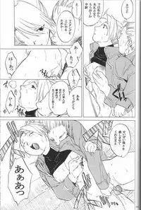 (C65) [Toko-ya (HEIZO, Kitoen)] Taisatyui (Fullmetal Alchemist)