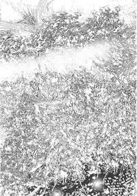 Gekkan Comic Muga 2004-06 Vol.10