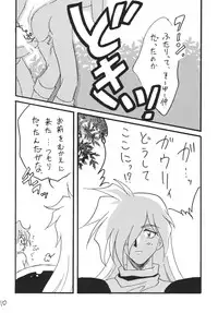 [Ginmomodou (Mita Satomi)] SLAYERS ADULT 13 (Slayers) [Digital]