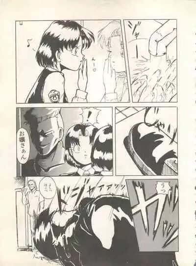 Shin Bishoujo Shoukougun 4 Houou hen