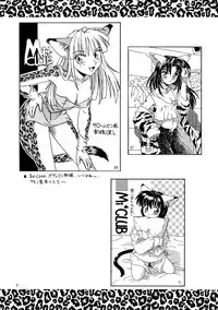 (C53) [.30-06 (Tsutsumi Akari)] CAZA MAYOR