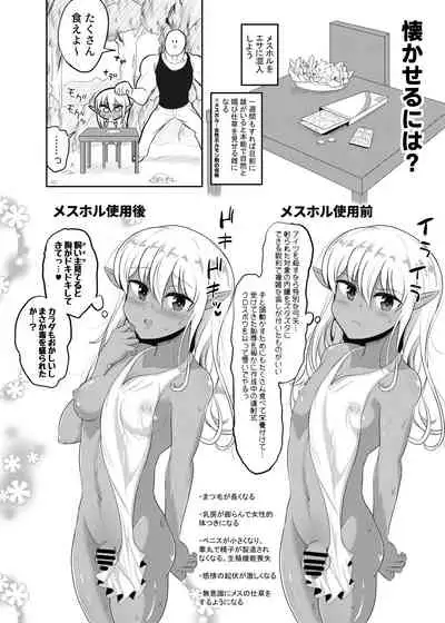 Kasshoku Elf-kun no Kaikata