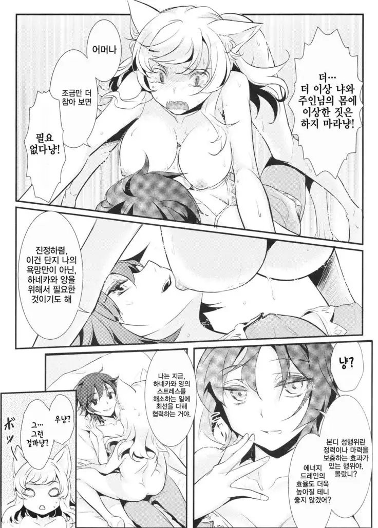 Neko Douraku | 고양이도락